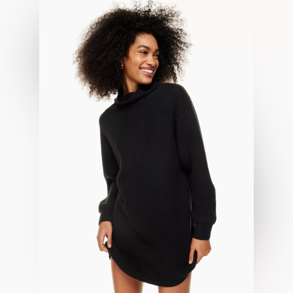 Aritzia Wilfred Montpellier Dress